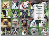 1000pc Rescue Dogs Puzzle