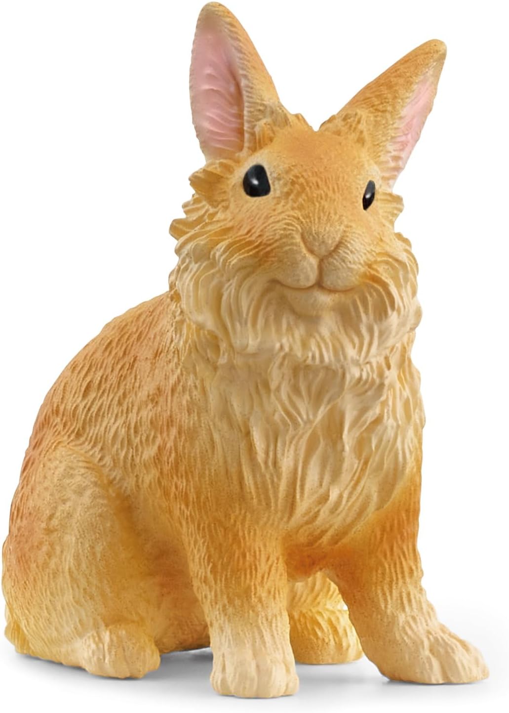 Lionhead Rabbit