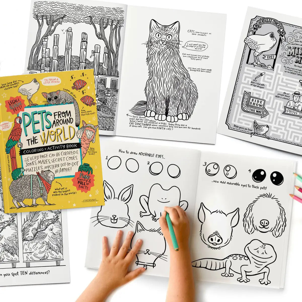 Pets From Around the World Coloring and Activity Book
