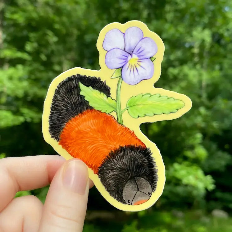 Woolly Bear Caterpillar with Violet Sticker