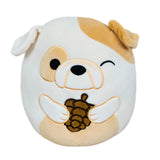 Plush 8-inch dog Squishmallow holding a pinecone with warm fall colors and soft, cuddly texture