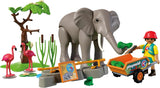 Animals & Friends | Elephant with Zookeeper