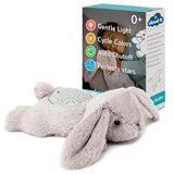 Dream Buddies | Benny Bunny