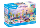 Princess Magic | Mermaid Animal Care