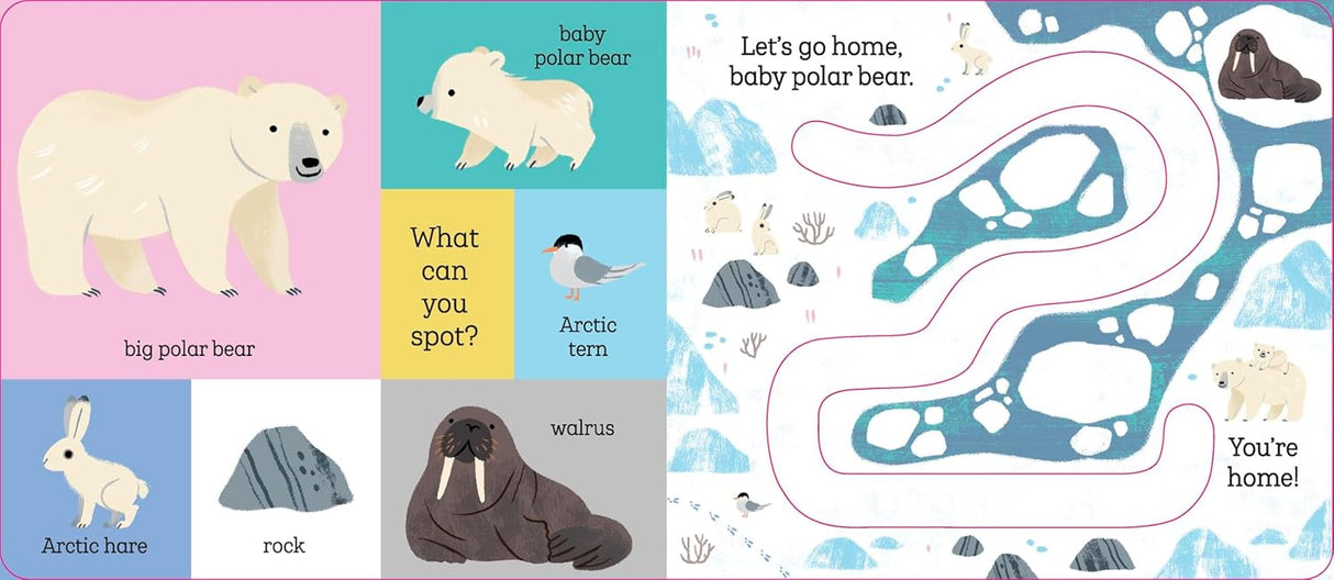 Illustrated baby polar bear with Arctic animals and a playful path to help baby polar bear find its way home