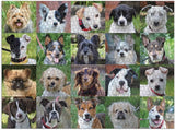 1000pc Rescue Dogs Puzzle