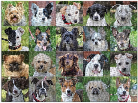 1000pc Rescue Dogs Puzzle featuring 20 photos of adorable rescued dogs from Danny & Ron's Rescue mission.
