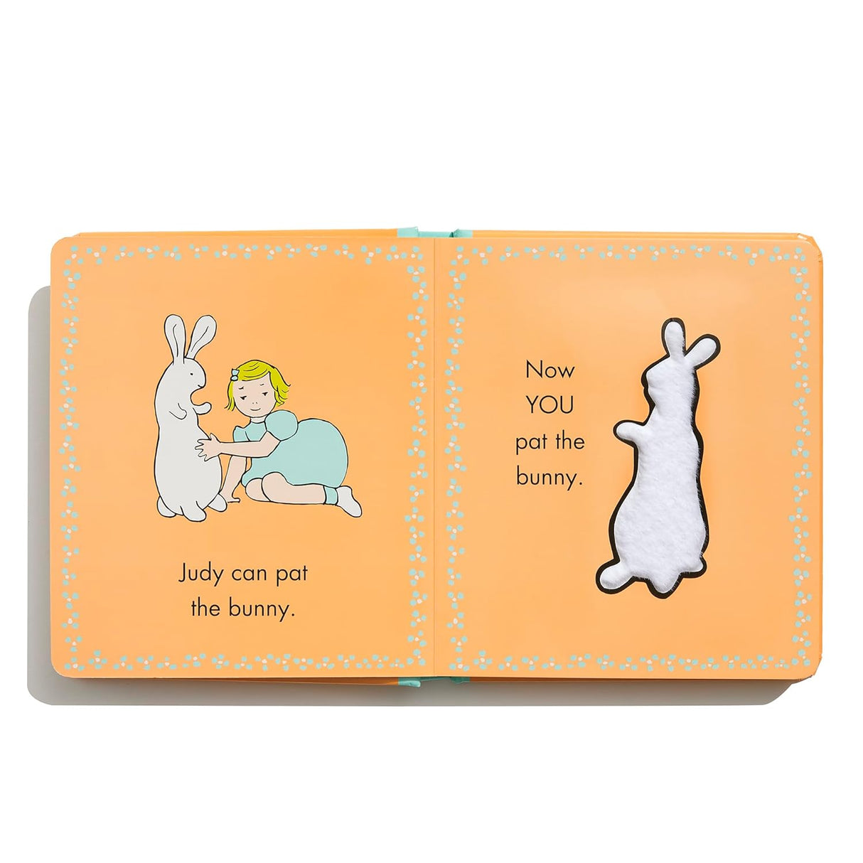 Pat the Bunny Touch & Feel