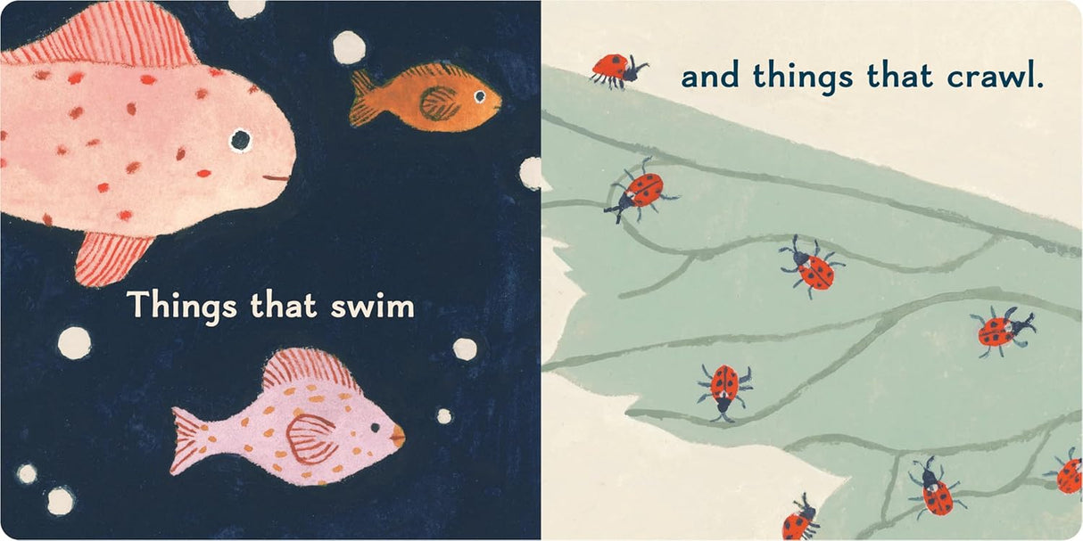 Illustration of fish swimming and ladybugs crawling from a baby board book exploring simple wonders in life