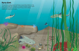 Underwater scene showing nurse sharks swimming near rocks, seaweed, starfish, and various small ocean creatures