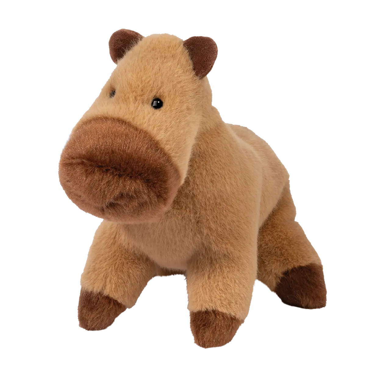 Muzzles | Capybara Craig