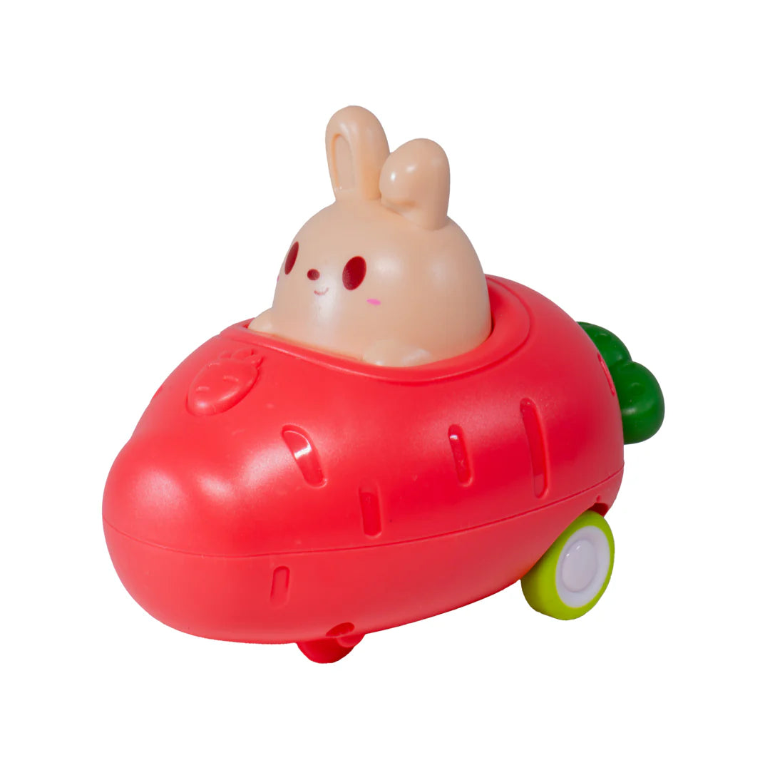 Push N Go Bunny