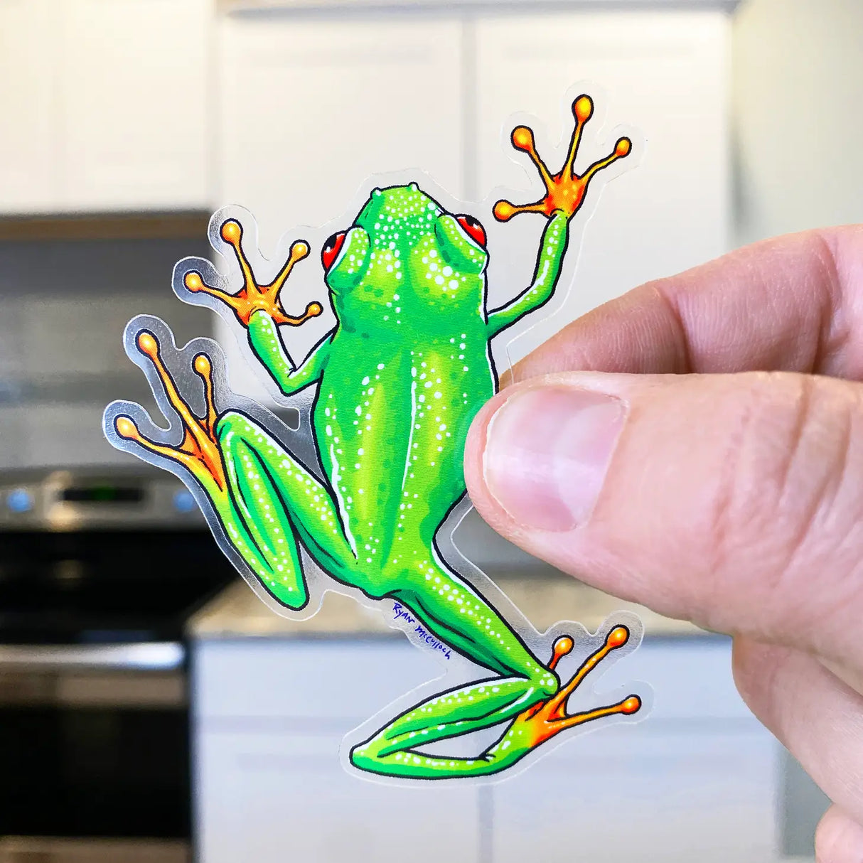 Cute Red-Eyed Tree Frog Sticker