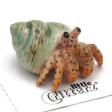 Little Critterz | Leroy the Hermit Crab