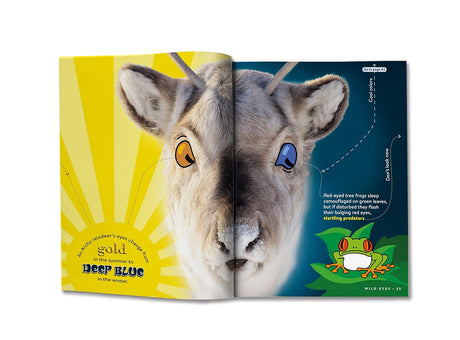 Animal FACTopia!