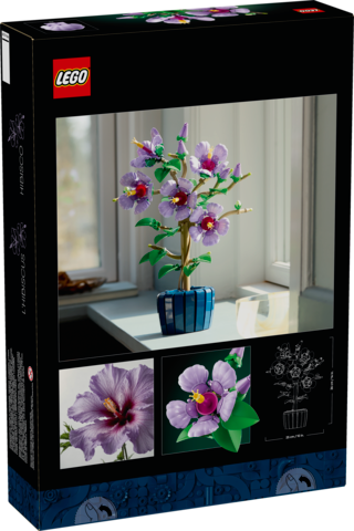 LEGO Botanicals Hibiscus with five large purple flowers and dark blue pot displayed on a windowsill