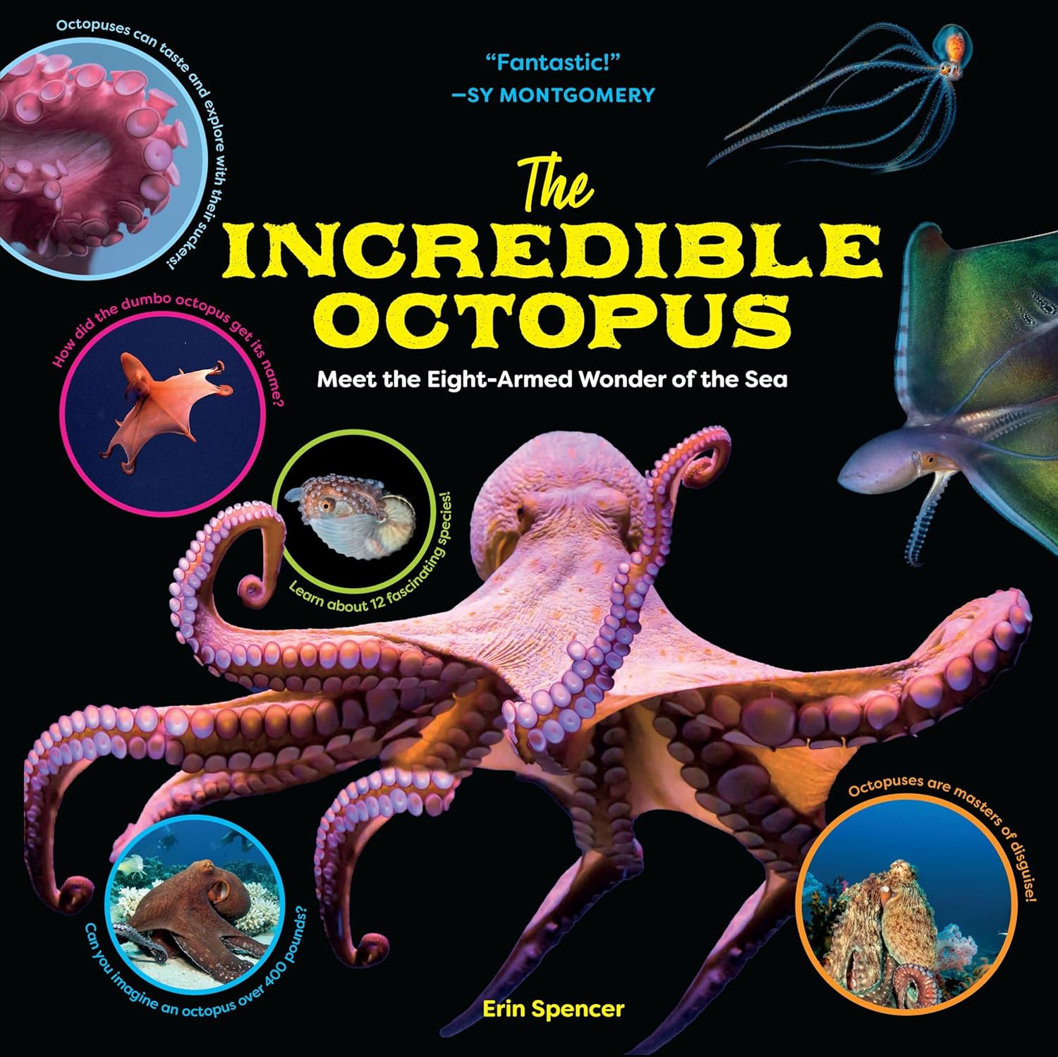 The Incredible Octopus – Treehouse Toys The Incredible Octopus – Treehouse Toys