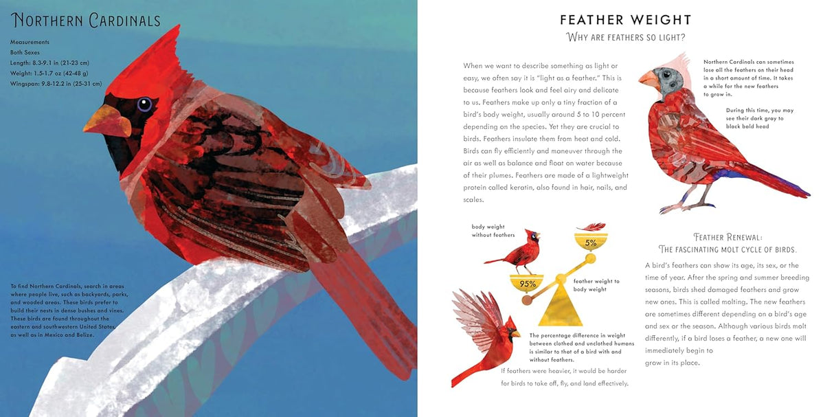 Light as a Feather: 15 Phenomenal North American Birds