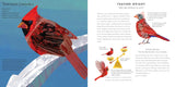 Light as a Feather: 15 Phenomenal North American Birds
