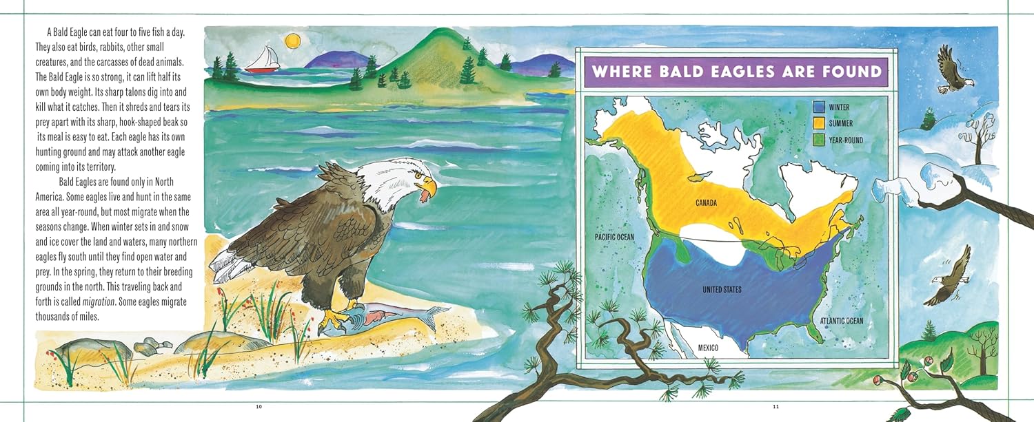 Bald Eagles – Treehouse Toys