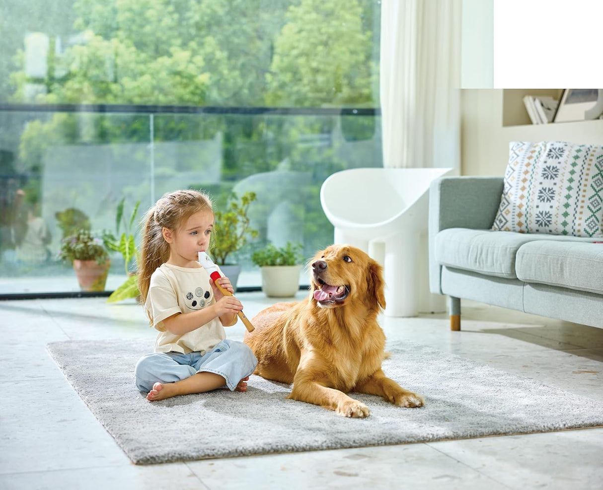 Mini Musician's Starter Recorder