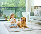 Mini Musician's Starter Recorder