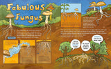 Illustrated educational graphic showing mushroom structures and underground fungus roots in a forest ecosystem.