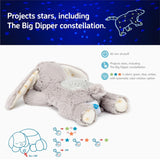 Dream Buddies | Benny Bunny