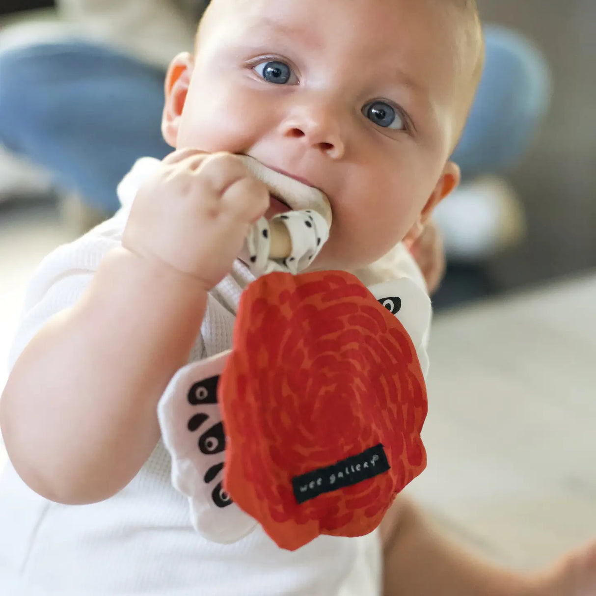 Organic Crinkle Teether | Butterfly