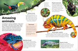 Colorful rainforest animals including a toucan, chameleon, poison dart frog, and monkeys in a lush jungle setting