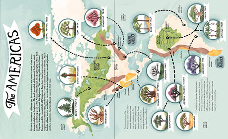 Around the World in 80 Trees showing a map of the Americas with illustrations of unique native trees.