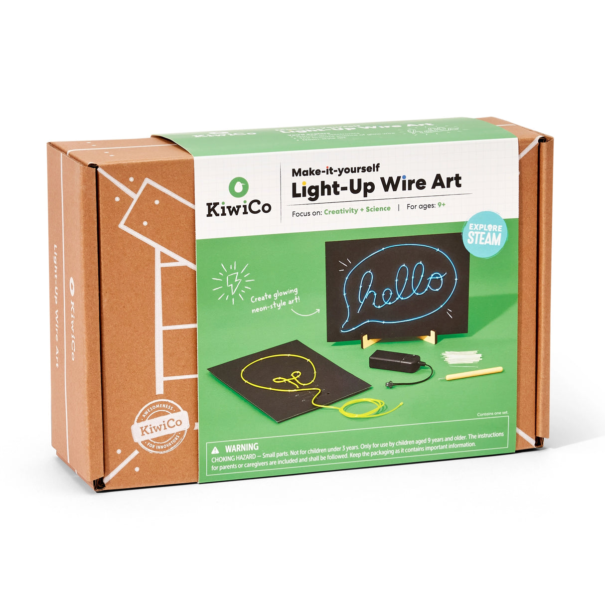 Light-Up Wire Art