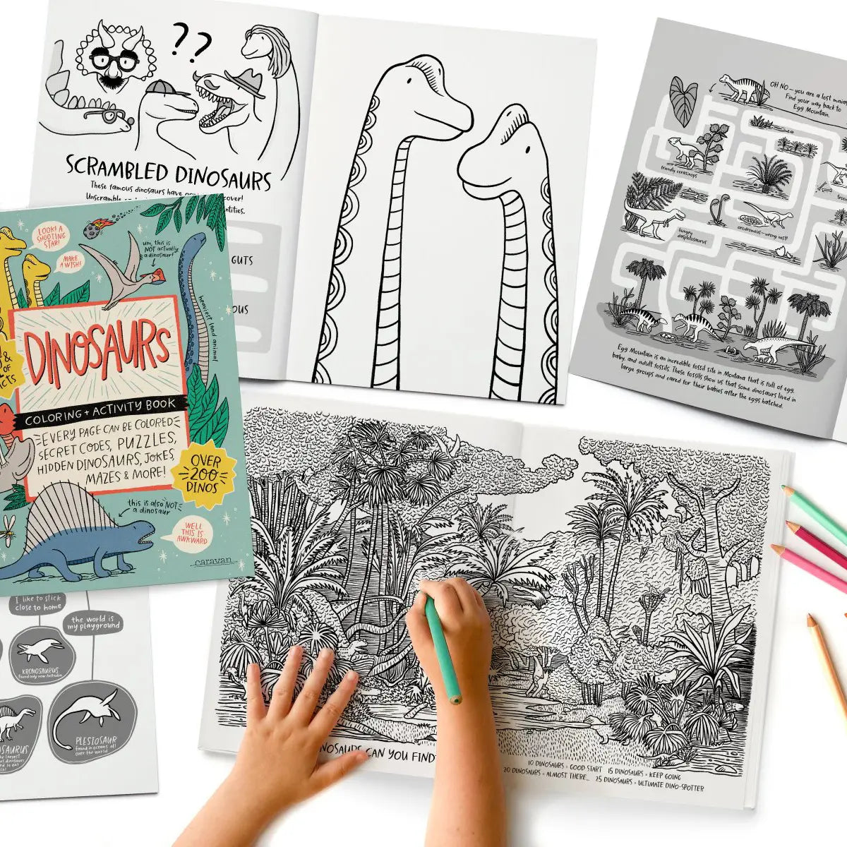 Dinosaurs Coloring & Activity Book