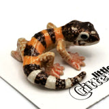 Little Critterz | Gladiator the Leopard Gecko
