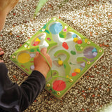 FrogyMaze Magnetic Sorting