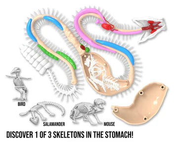 Dissect-It Super Snake Lab
