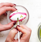 Natural Easter Egg Paint Set