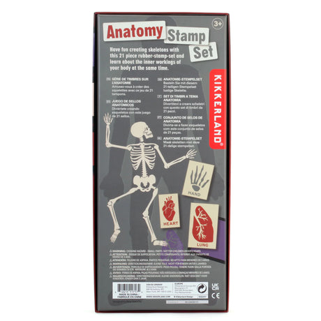 Anatomy Stamp Set with 21 rubber stamps, ink pads, and stencil for fun skeleton and body learning activities.