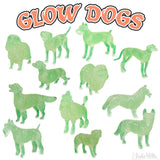 Glow Dog