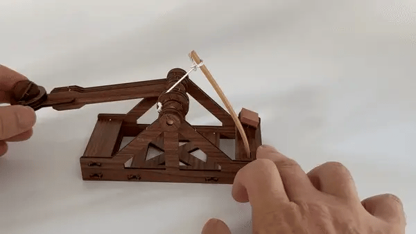 Mini Catapult Building Kit