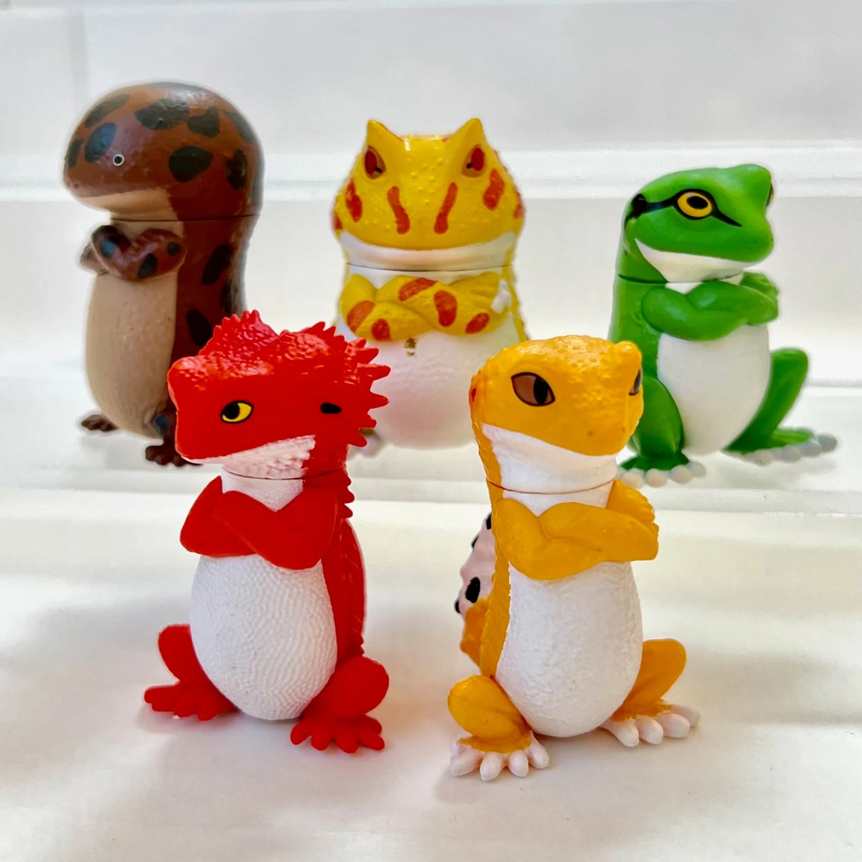 Attitude Amphibians & Lizards Blind Box