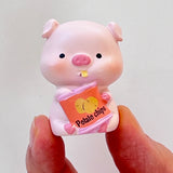 Piggy Diary Blind Box