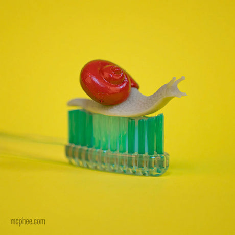 Itty Bitty Snails soft vinyl miniature snail with red shell perched on a green toothbrush against yellow background