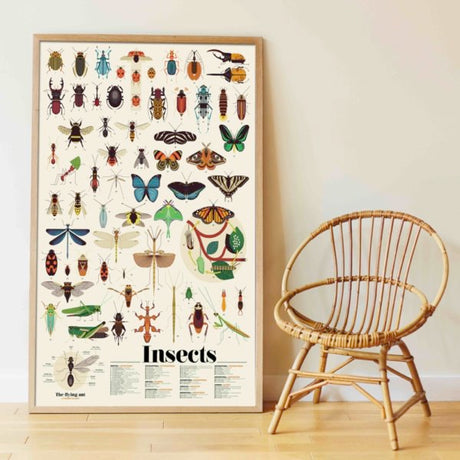 Poppik Discovery Poster Insects with colorful insect illustrations and stickers for educational fun and decoration.