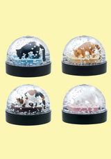 Four cat litter snow globes each featuring a different cat figurine with swirling white flakes inside clear domes.