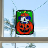 Scratch & Scribble Window Banner | Boo Buddies