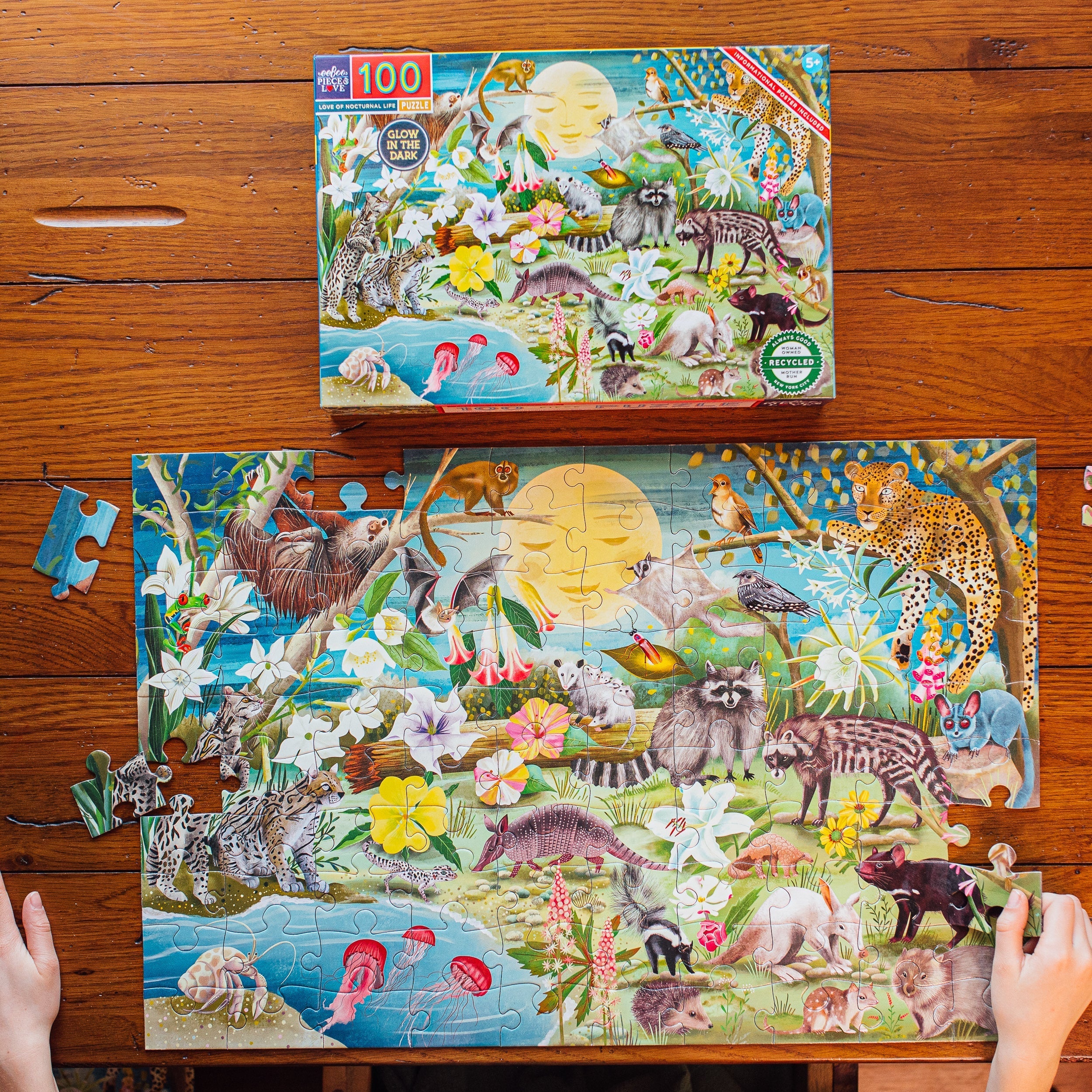 life puzzle ブローチ 100pc Love of Nocturnal Life Puzzle – Treehouse Toys