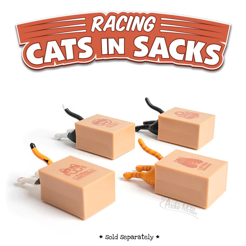 Racing Cat in Sack
