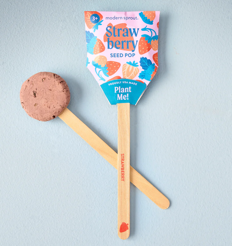 Garden Seed Pop with strawberry seeds in nutrient-rich clay and wooden stick garden marker ready for planting.