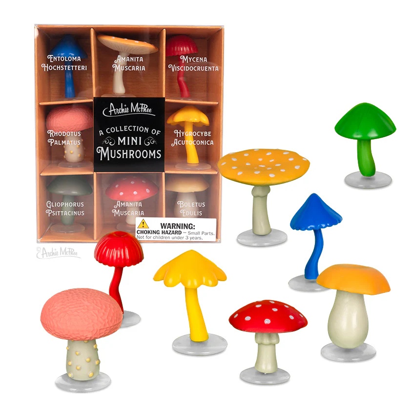 A Collection of Mini Mushrooms